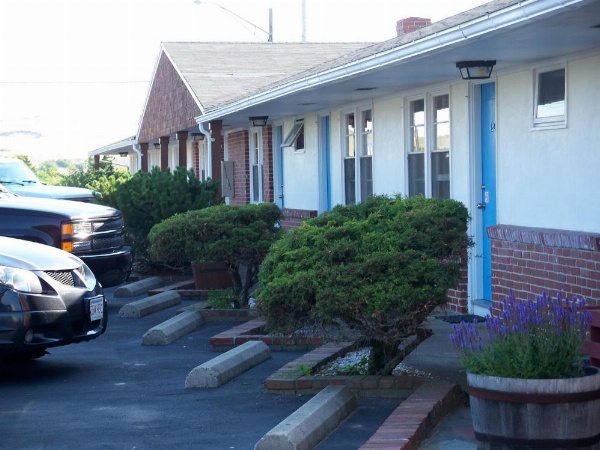 Blue Sea Motor Inn image 13