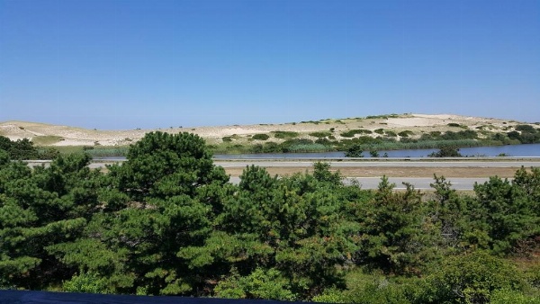 Blue Sea Motor Inn image 15